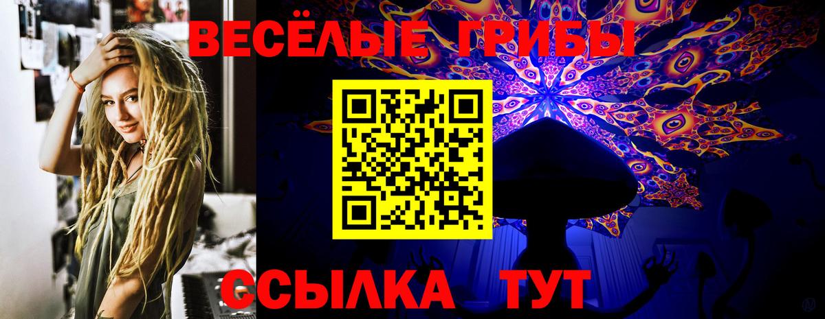 Псилоцибиновые грибы Cubensis  Вход с VPN  Тейково 