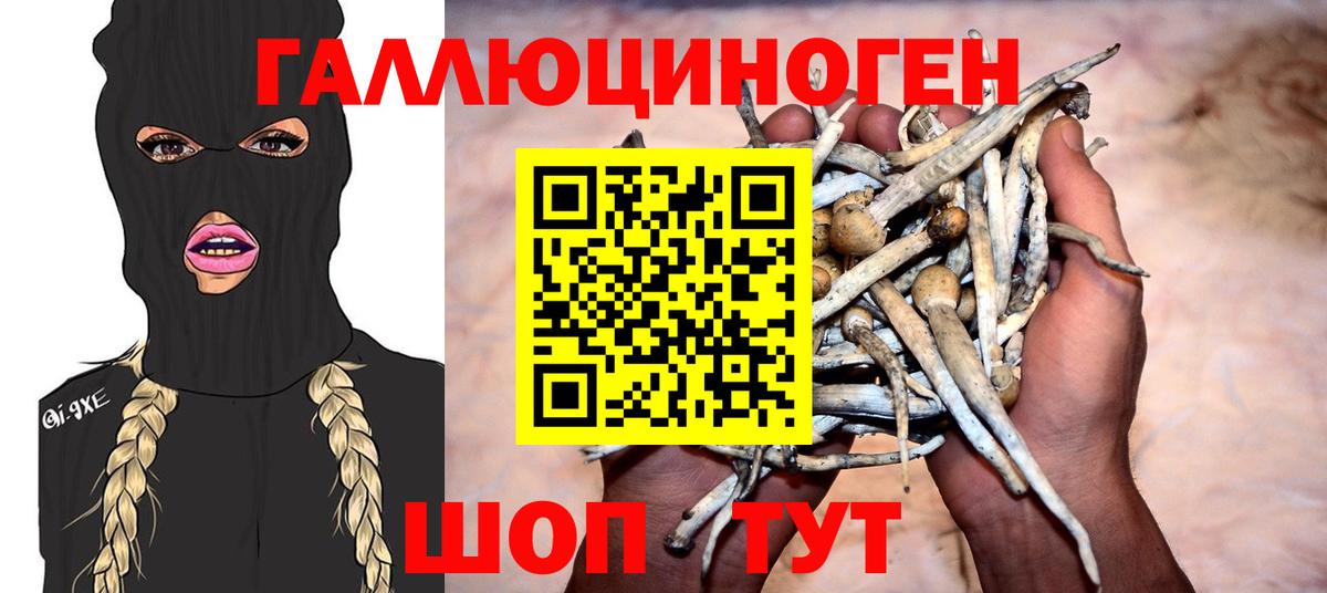 Псилоцибиновые грибы MAGIC MUSHROOMS Тейково